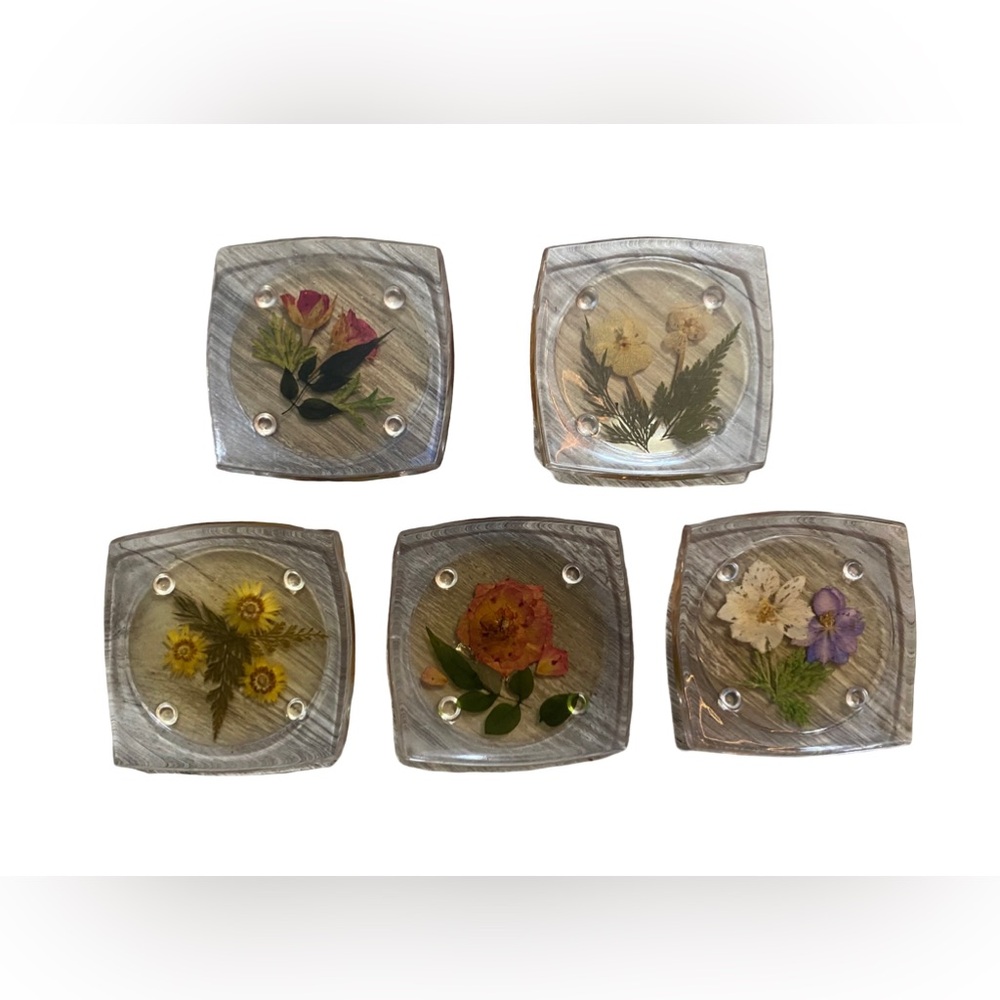 VTG 5 Clear Lucite Acrylic Coasters Pressed Flowers‎ Clover Romantic Cottage MCM